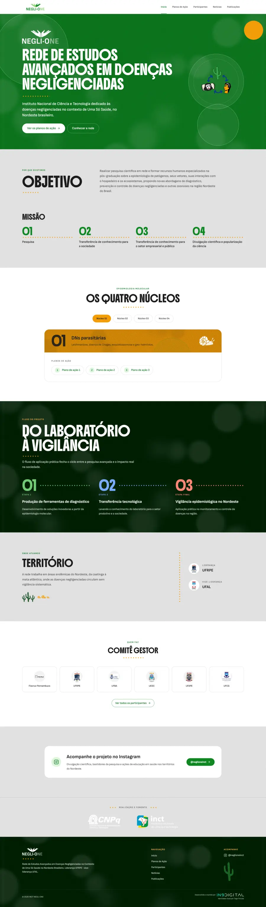 Captura do site institucional Neglione INCT